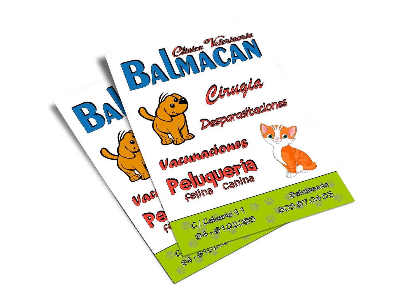 FLYER_BALMACAN