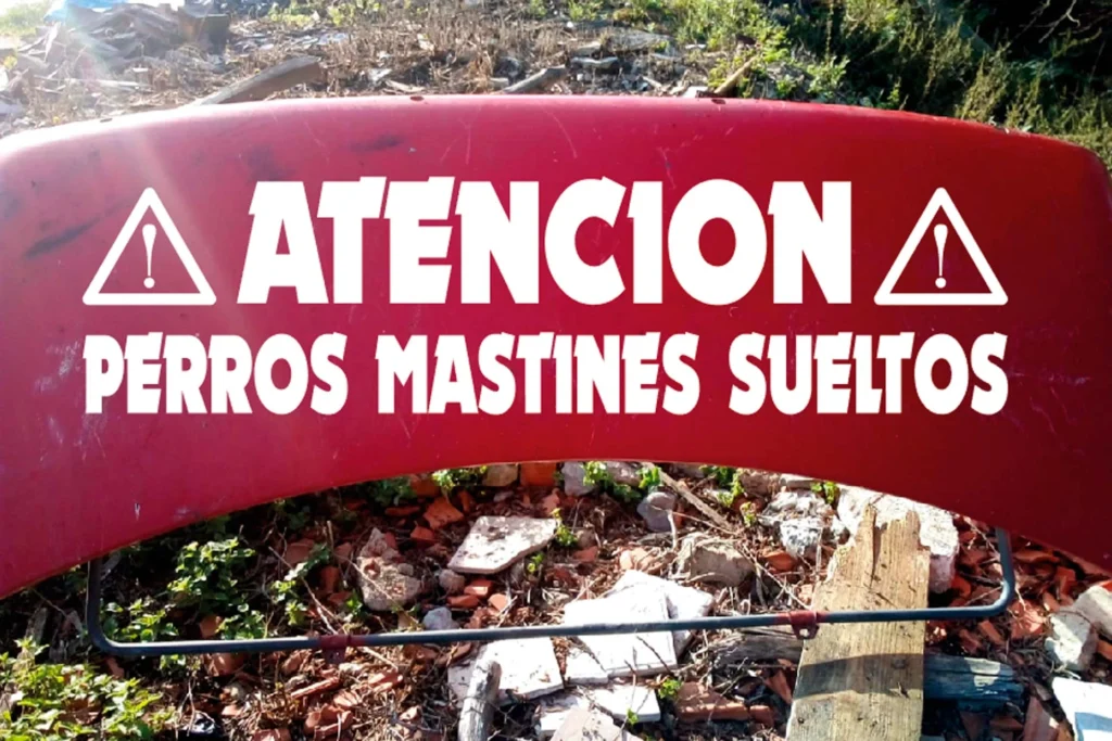 Asociación Kanina – Vinilo / Rotulación