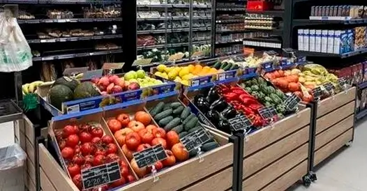 Diseño gráfico para pequeños comercios en Bizkaia